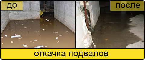 Услуга ассенизаторов в Раменском